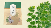 【行業(yè)資訊】國內(nèi)首部艾草專著《南陽艾》，在南陽新書首發(fā)！