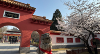 【行業(yè)資訊】新華財(cái)經(jīng)：守正創(chuàng)新，中醫(yī)藥品牌化發(fā)展“更上一層樓”！