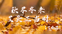 【健康/艾灸】秋盡冬來，艾灸正當(dāng)時(shí)——解鎖季節(jié)交替的養(yǎng)生密碼！