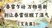 【二十四節(jié)氣灸】春雷驚醒濕氣！驚蟄艾灸3穴，疏肝祛濕養(yǎng)元氣！